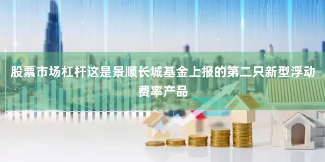 股票市场杠杆这是景顺长城基金上报的第二只新型浮动费率产品