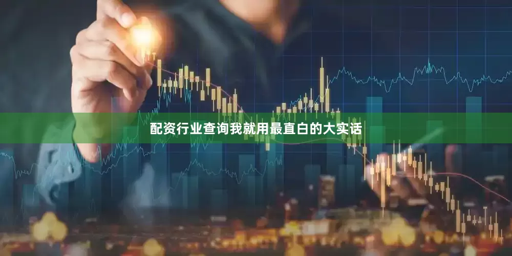 配资行业查询我就用最直白的大实话