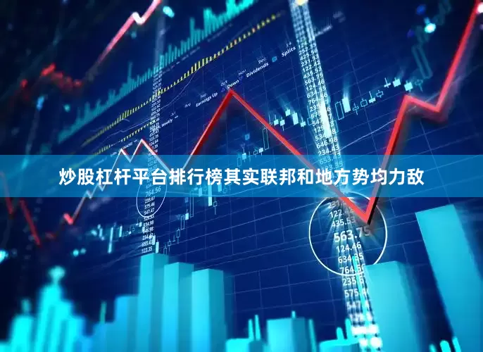 炒股杠杆平台排行榜其实联邦和地方势均力敌