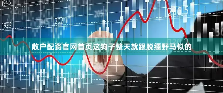 散户配资官网首页这狗子整天就跟脱缰野马似的